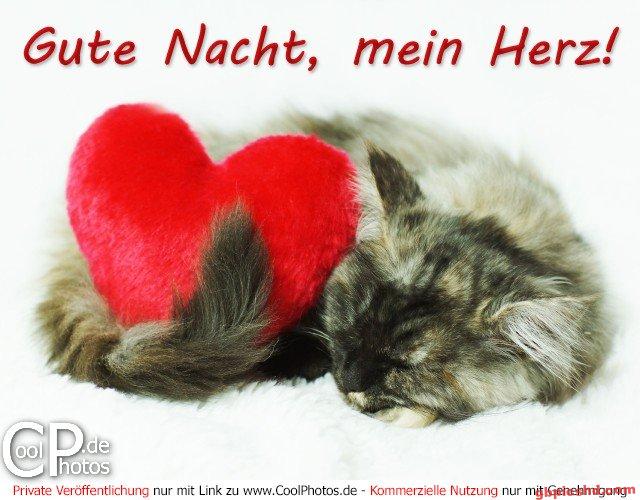 Schlafende Katze mit rotem Herzkissen, Gute-Nacht-Gruß auf Deutsch.