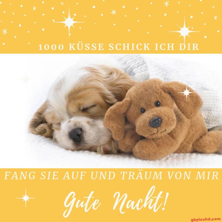 Schlafender Welpe neben einem Kuscheltier sagt Gute Nacht mit liebevoller Botschaft.