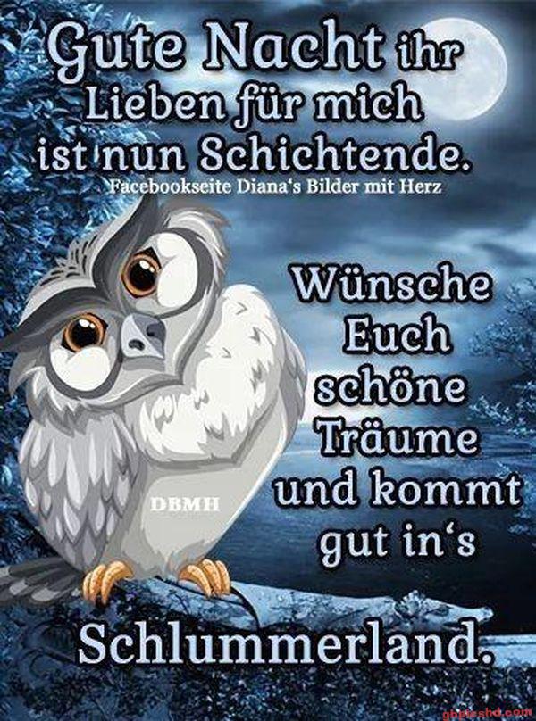 Gezeichnete Eule bei Nacht mit Vollmond, die gute Nacht und schöne Träume wünscht.