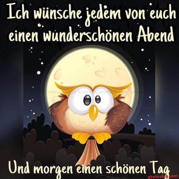 Niedliche Eule vor Vollmond wünscht einen schönen Abend und einen guten Tag am nächsten Morgen.