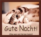 Gute Nacht Bilder Whatsapp