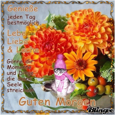 Bunte Blumen mit Hasenfigur und Morgen-Gruß für einen guten Start in den Tag.