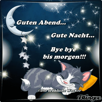 Schlafende Katze unter einem Mond mit Sternen als Gute-Nacht-Grüße.