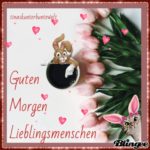 Guten Nachmittag Blingee Bilder