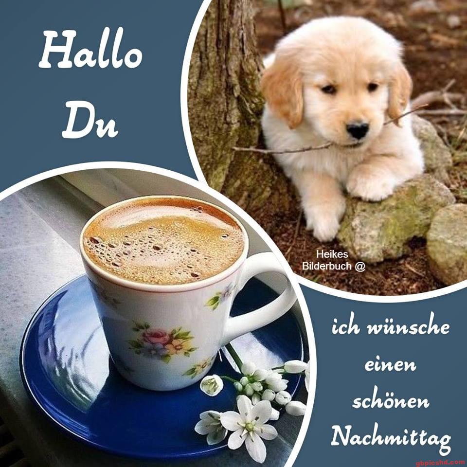 Ein niedlicher Welpe und eine Tasse Kaffee mit Blumen, die einen schönen Nachmittag wünschen.