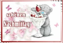 Kostenlose Bilder Nachmittag