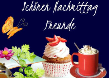 Kostenlose Nachmittag Bilder