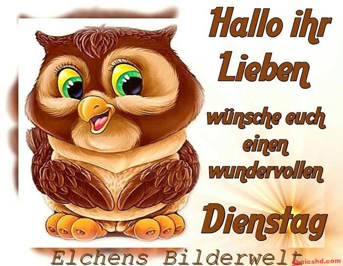 Niedliche animierte Eule mit grünen Augen und Gruß zum Dienstag