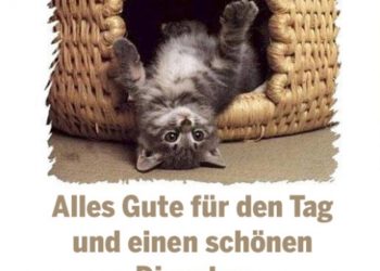 Lustige Bilder Dienstag Nachmittag