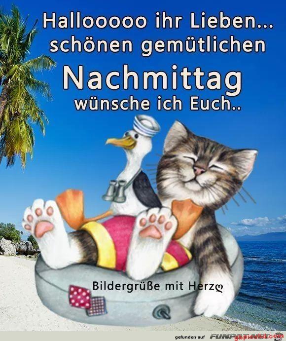 Lächelnde Katze auf Schwimmring am Strand mit Ente, freundlicher Nachmittagsgrüßtext.