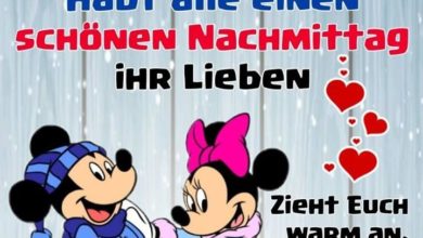 Lustige Bilder Montag Nachmittag