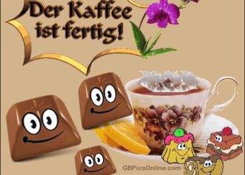 Lustige Bilder Sonntag Nachmittag