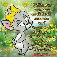 Niedliches Cartoon-Kätzchen mit gelber Schleife wünscht einen schönen Nachmittag im Grünen.