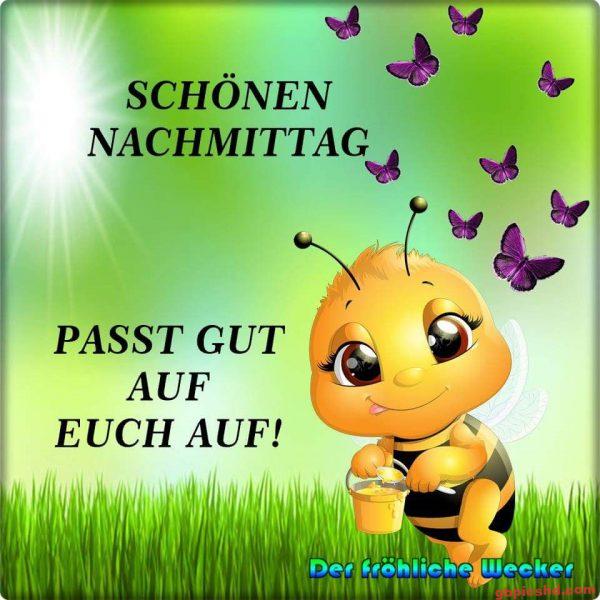 Fröhliches Bienchen im Gras mit Schmetterlingen, sonniger Nachmittag, freundliche Grußkarte.