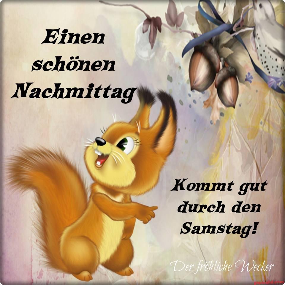 Fröhliches Eichhörnchen mit Eicheln, das einen schönen Samstagnachmittag wünscht.