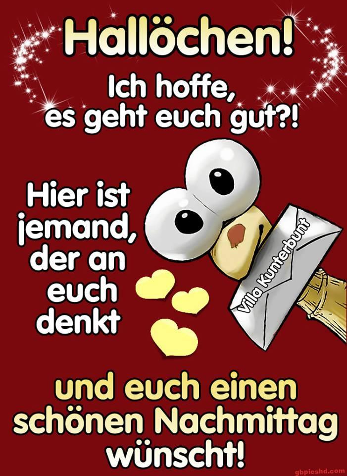 Lustiger Vogel mit Brief und herzlichem Nachmittaggruß auf rotem Hintergrund.