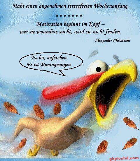 Lustiger, motivierender Comicvogel, der zum Aufstehen am Montagmorgen anregt.