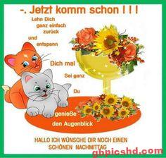 Zwei Katzen und bunte Blumen mit einem freundlichen Nachmittagsgruß.