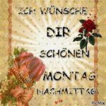 Montag Nachmittag Bilder Gif