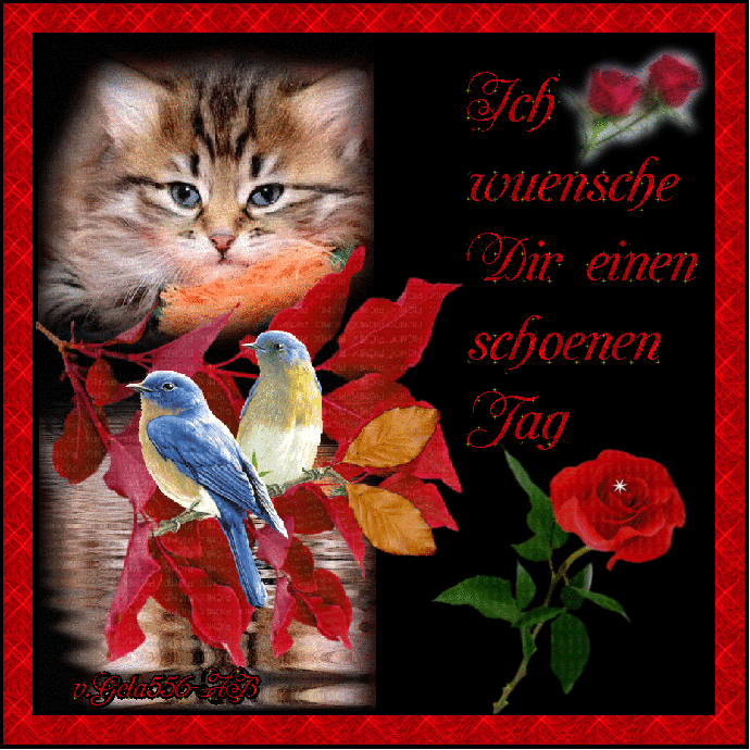 Ein süßer Kätzchenkopf mit zwei Vögeln, roten Blättern und roten Rosen mit Grußtext für einen schönen Tag.