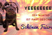 Montag Nachmittag Bilder Gif