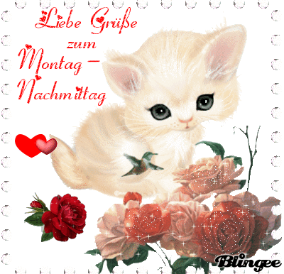 Kätzchen mit Rosen und Vogel als freundlicher Gruß zum Montagnachmittag.