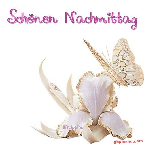 Weiße Blume mit goldumrandeten Blütenblättern und schwebendem gold-weißem Schmetterling.