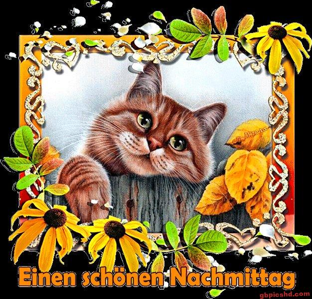 Lächelnder roter Kater mit gelben Blumenrahmen, Wunsch für einen schönen Nachmittag.