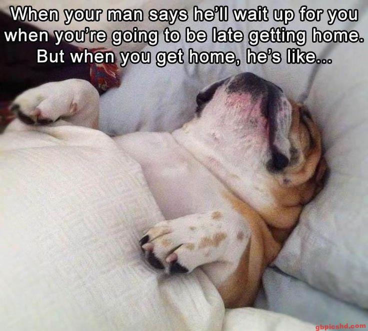 Schlafender Bulldogge auf einem Bett, die entspannt wirkt.