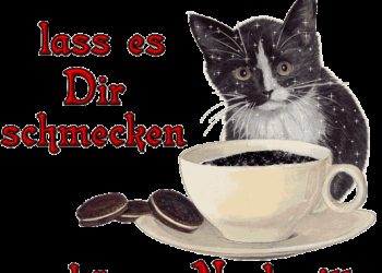Nachmittag Gif Bilder