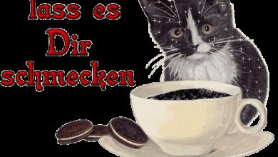 Nachmittag Gif Bilder