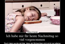 Nachmittag Lustige Bilder