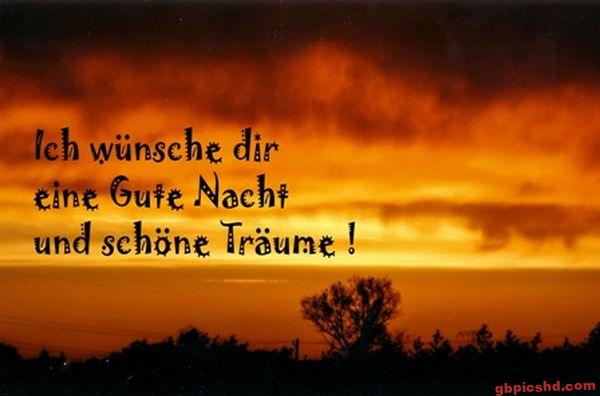Dramatischer Sonnenuntergang mit Bäumen und einem Gute-Nacht-Gruß auf Deutsch.