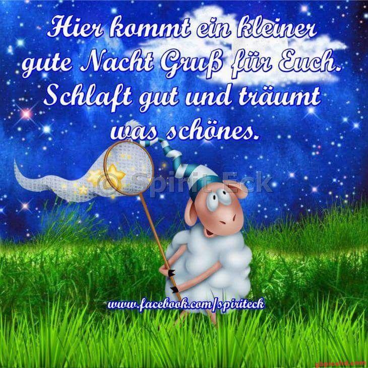 Niedliches Schäfchen mit Netz unter Sternenhimmel, gute Nacht Gruß.