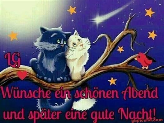 Zwei Katzen auf einem Ast bei Nacht mit Sternen und einem Vogel, gute Abend- und Nachtwünsche.
