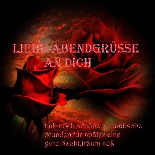 Zwei rote Rosen vor einem Abendhimmel, romantischer Gruß für den Abend und gute Nacht.