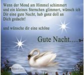 Romantische Gute Nacht Bilder