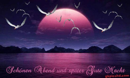 Rosa Mond über Bergen und See am Abend mit Vogelschwarm, stimmungsvolle Nachtgruß-Szene.