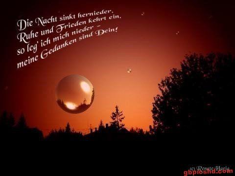 Sonnenuntergang mit Bäumen und poetischem Text über Ruhe und Frieden in der Nacht.
