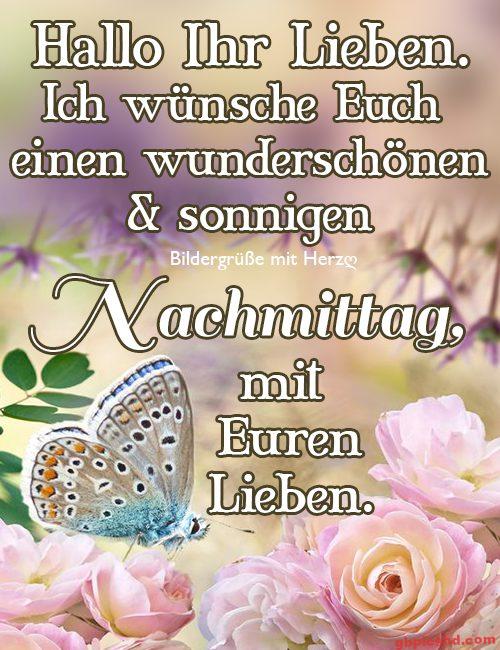 Schmetterling auf rosa Rosen mit einem Gruß für einen schönen Nachmittag.