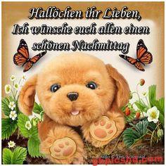 Süßer brauner Welpe mit Schmetterlingen und Blumen wünscht einen schönen Nachmittag.
