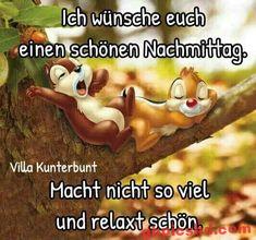 Zwei fröhliche Chipmunks entspannen sich auf einem Baumast am Nachmittag.