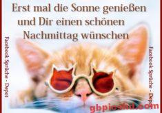 Entspannte Katze mit roten Sonnenbrillen, die einen schönen Nachmittag symbolisiert.