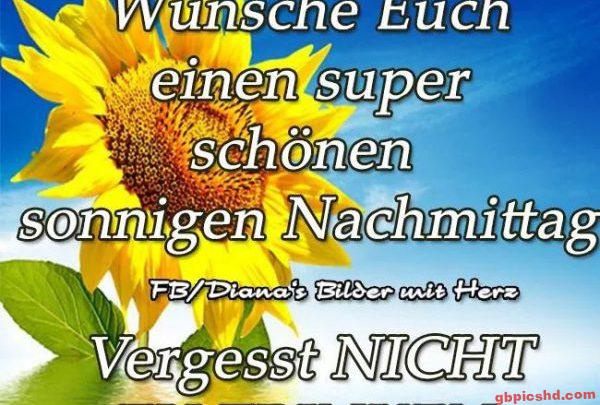 Sonnenblume vor blauem Himmel mit freundlichem Nachmittagsgruß in deutscher Sprache.