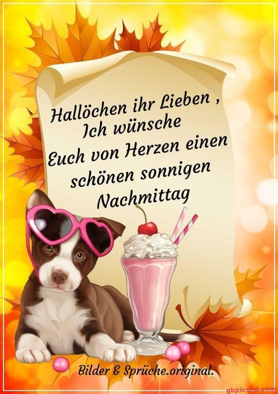 Liegender Hund mit Herz-Sonnenbrille und Milchshake an herbstlichem Nachmittag