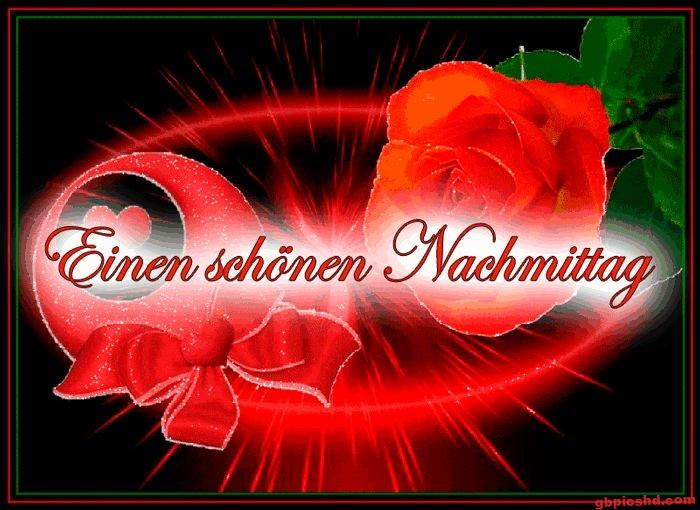 Rote Rose und Schleife mit dem Gruß für einen schönen Nachmittag in rotem Licht