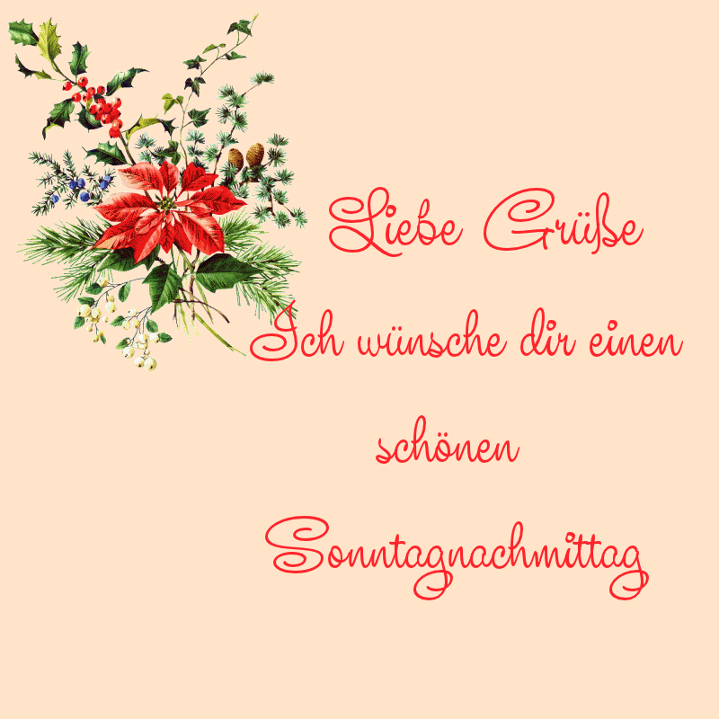 Florale Illustration mit Weihnachtsmotiven und Gruß zu einem schönen Sonntagnachmittag.