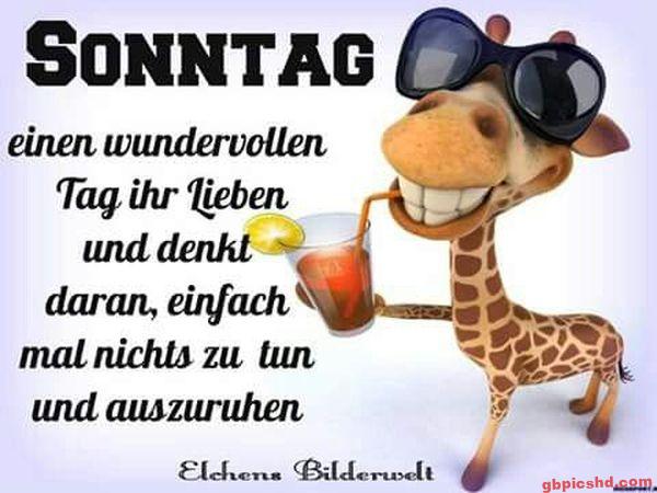 Lustige Giraffe mit Sonnenbrille und Getränk wünscht einen entspannten Sonntag