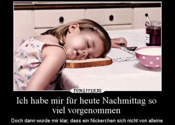 Sonntag Nachmittag Bilder Lustig