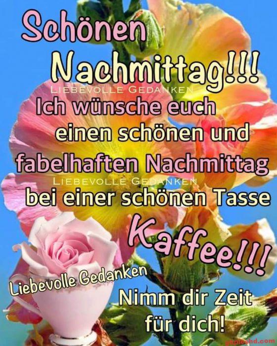 Blumen und Rose vor blauem Himmel mit liebevollem Nachmittagsgruß und Kaffeewunsch.